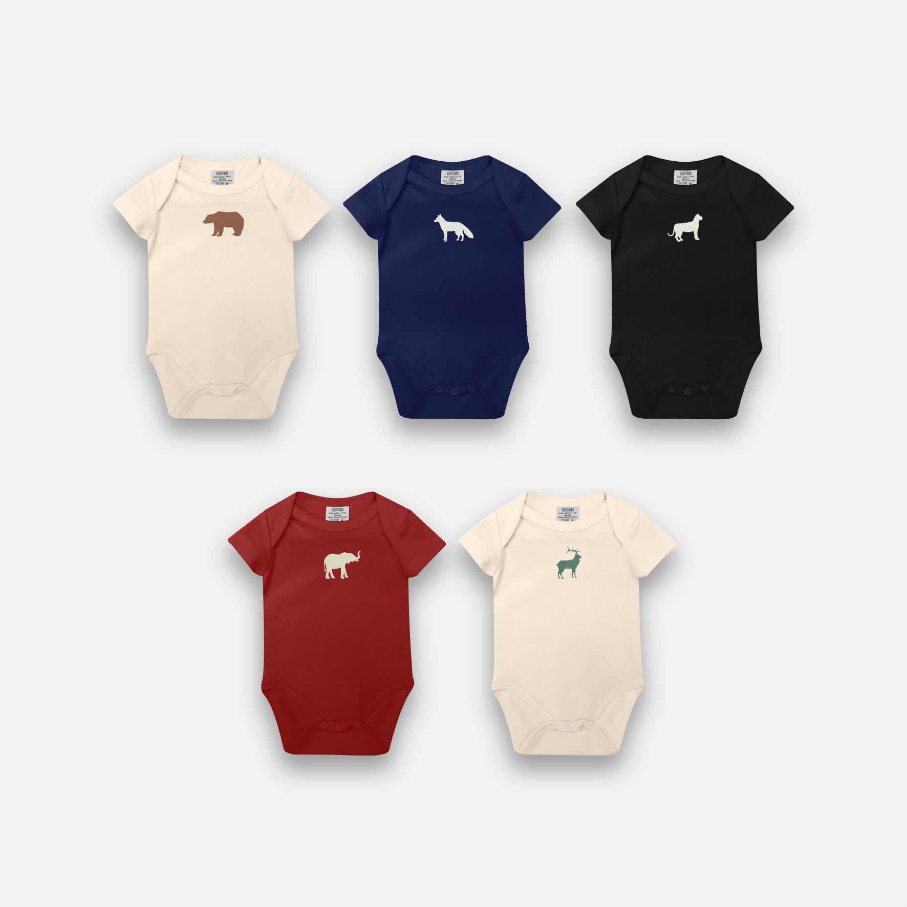 BASIC BODYSUIT