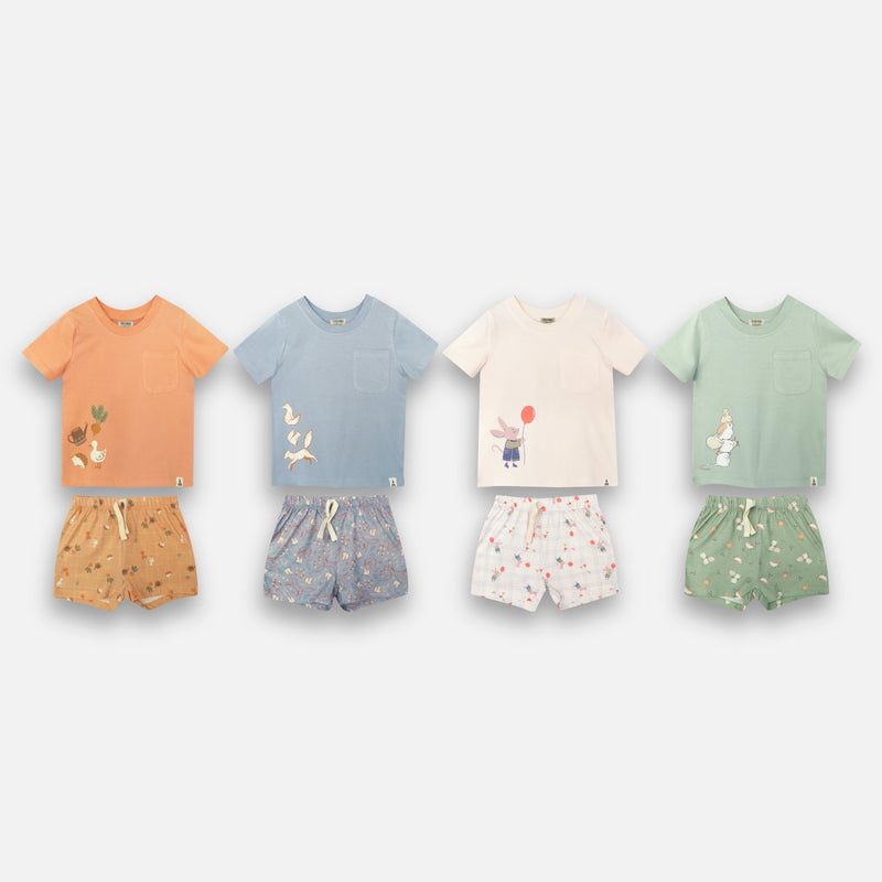 BASIC SET