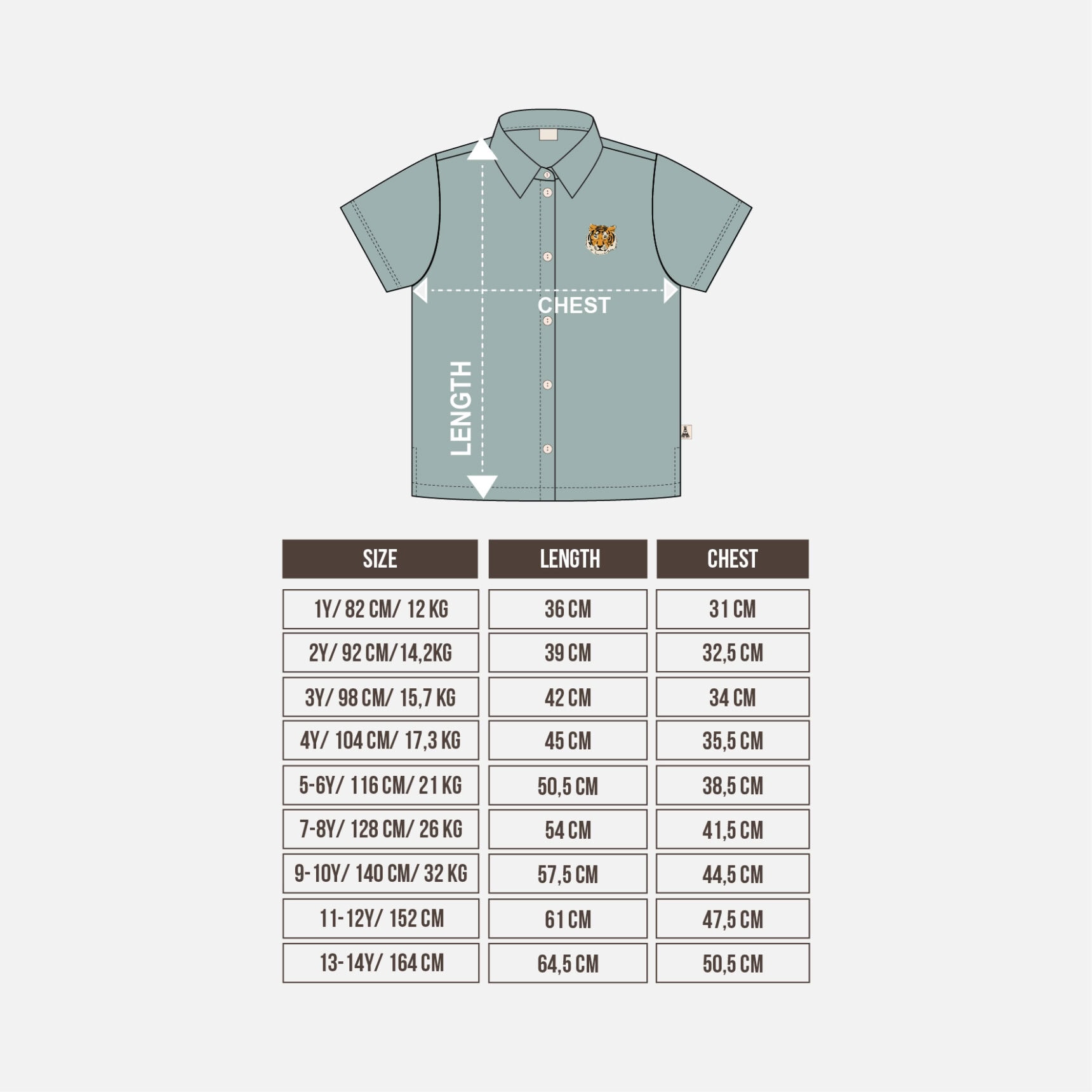 SHORT SLEEVE SHIRT - Gambar 2