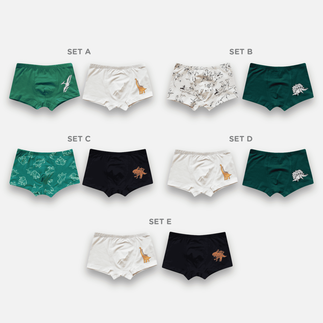 BOYS BOXER DINO SET