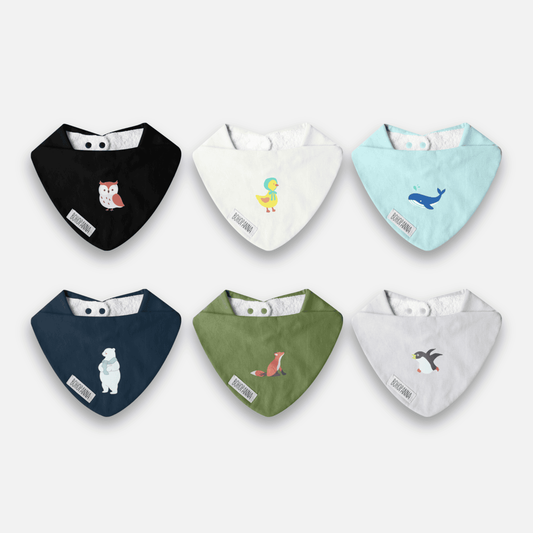 BIB